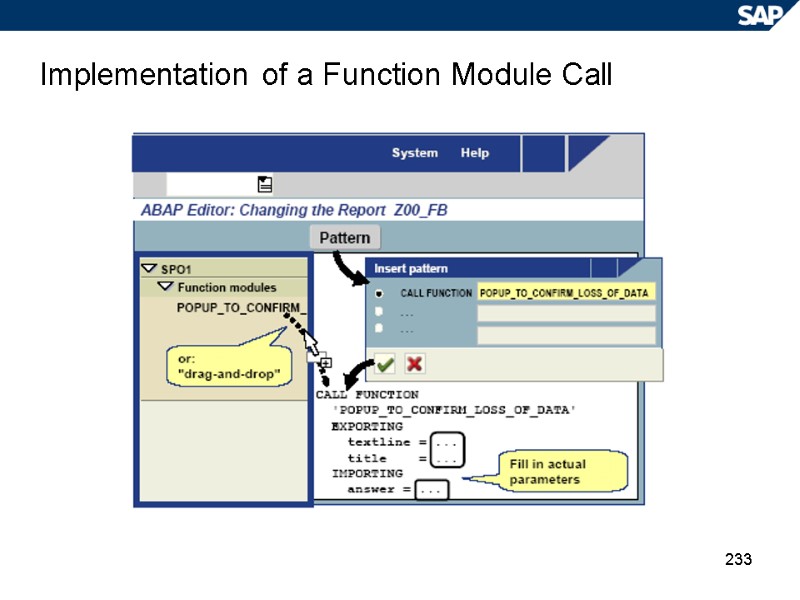 233 Implementation of a Function Module Call